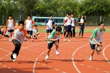 SBS_ (1086).JPG